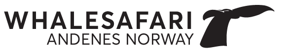 Hvalsafari AS