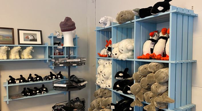WhaleShop 001 - Whale Safari Andenes - 707x389